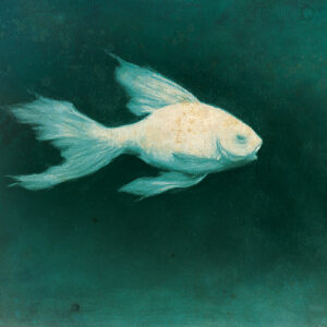 Mermaid (postcard)