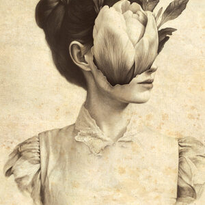 Magnolia (postcard)
