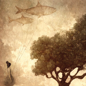 Come to visit me where fish can fly (postcard)