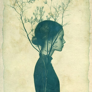 Blue dream (postcard)